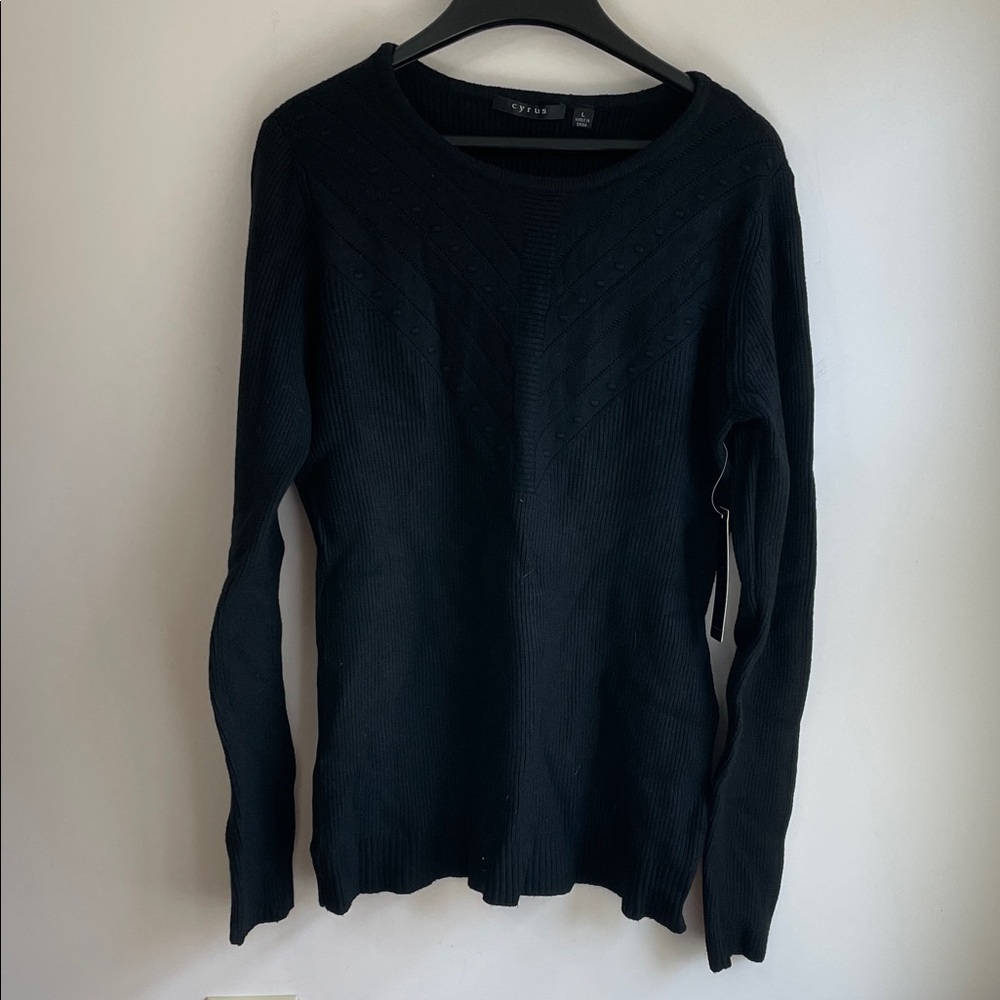 NWT Cyrus Nordstrom Classic Black Crewneck Rib Knit Long Sleeve Sweater L